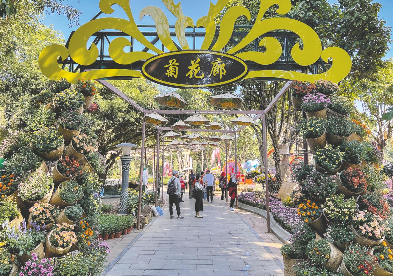 图片1.jpg