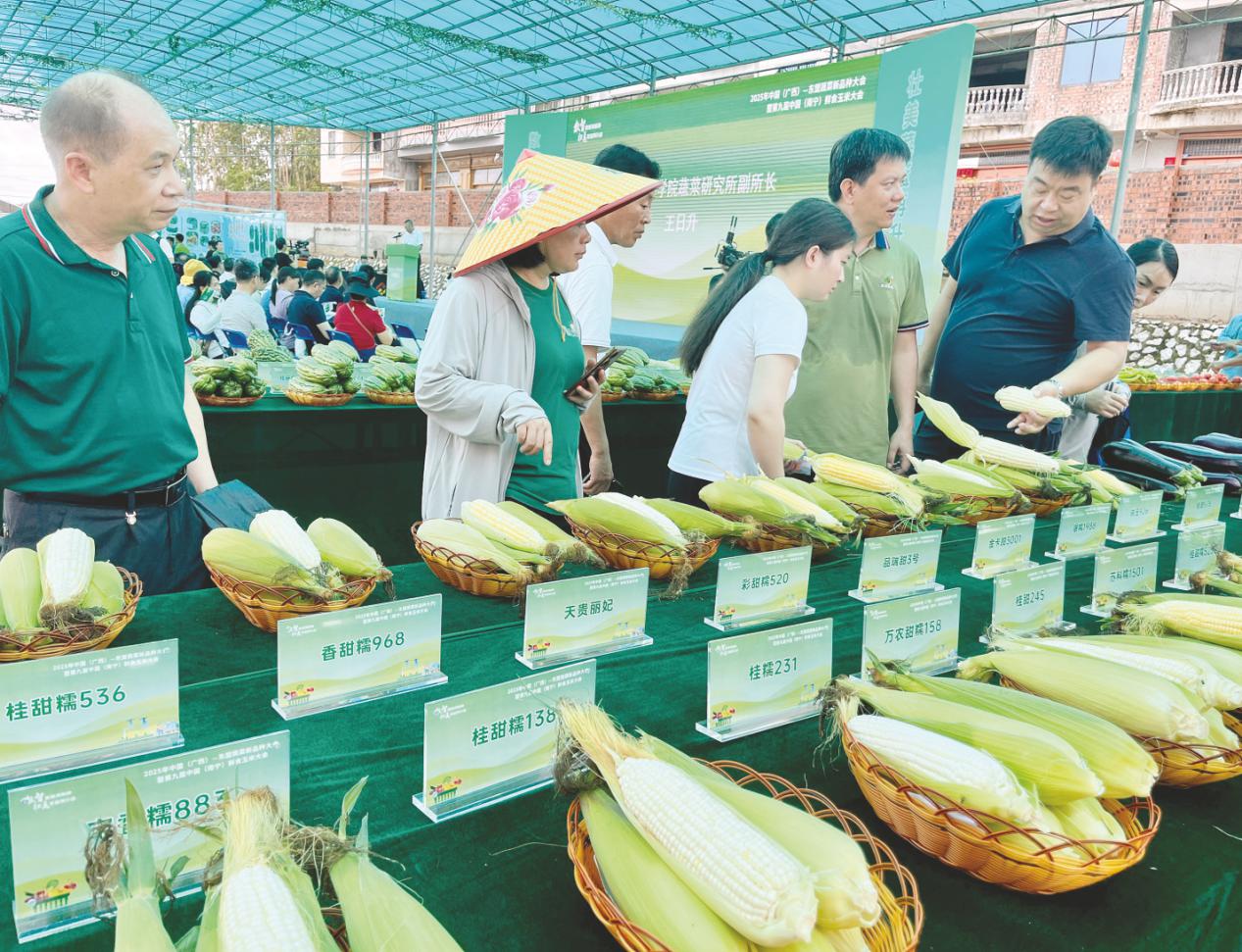 图片2.jpg