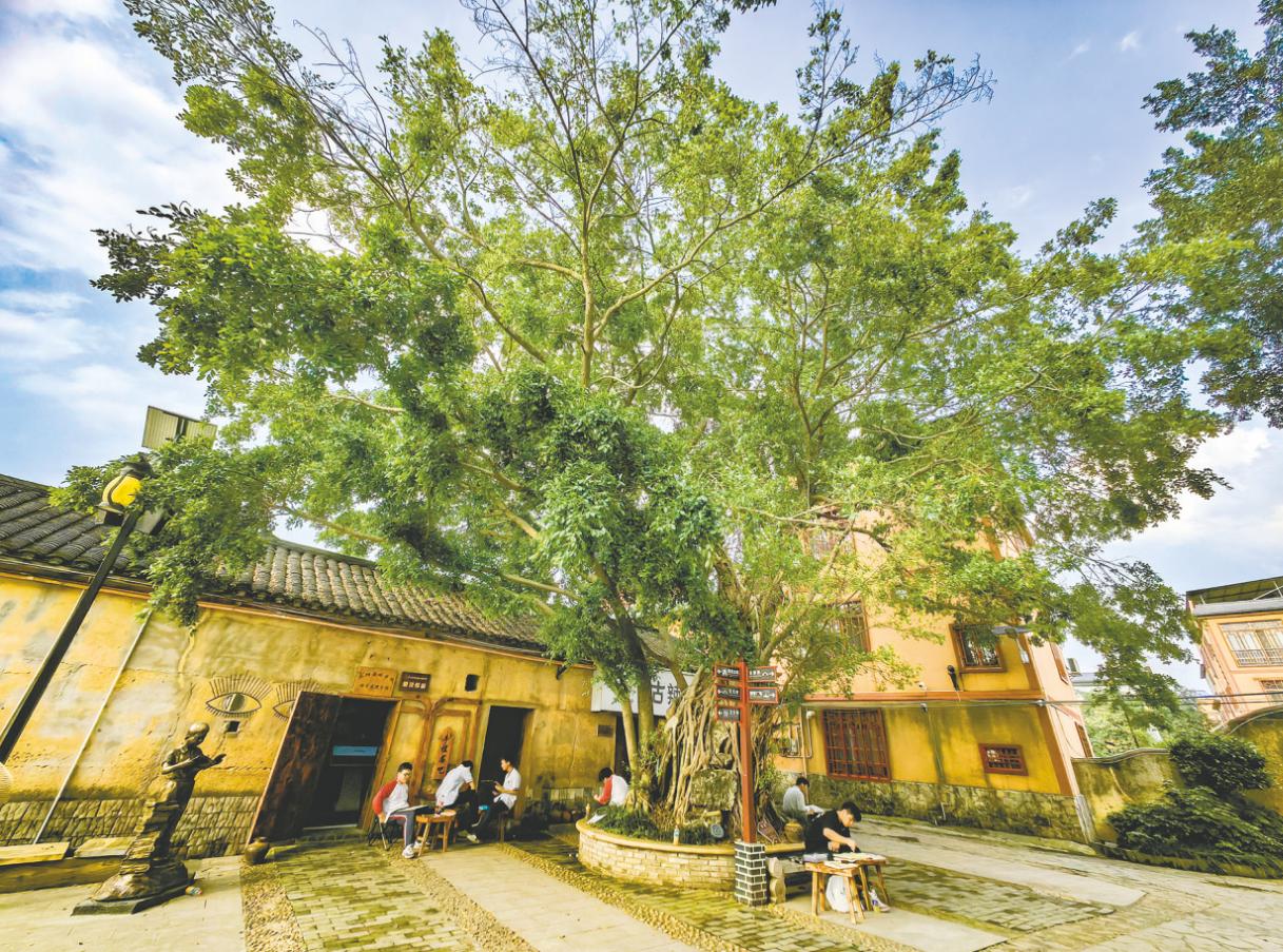 图片3.jpg