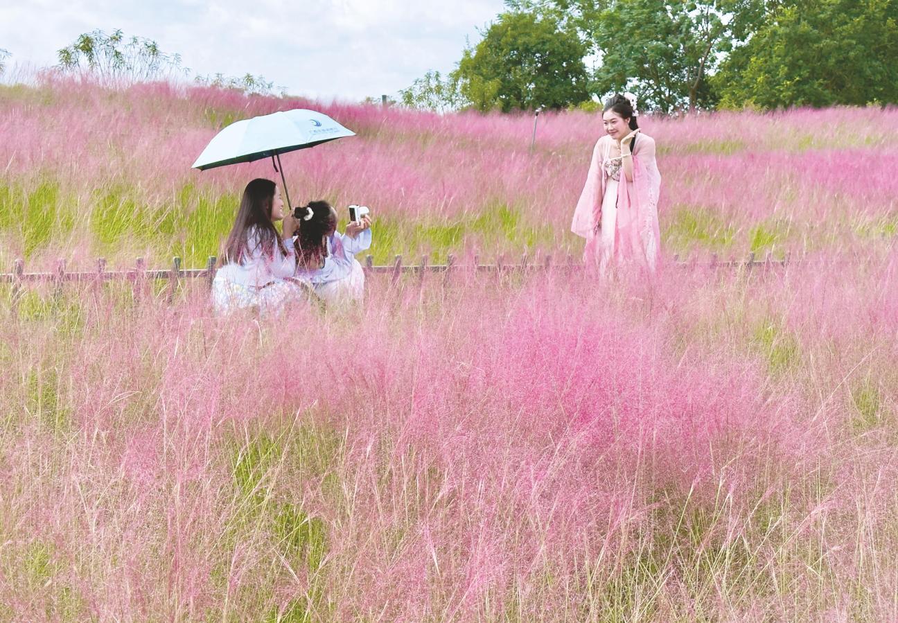 图片5.jpg 图片5.jpg